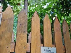 -呀路古热带植物园