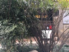 -南阳府衙