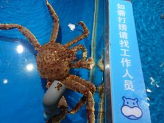 -盒马鲜生(悦峰店)