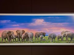 -罗红摄影艺术馆