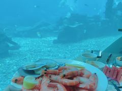 -海棠湾洲际-涛·海底餐厅·美人鱼·自助餐·海底隧道