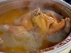 白果炖鸡汤-刘土鸡家常菜