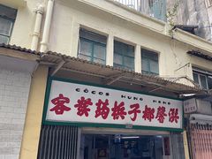 -洪馨椰子