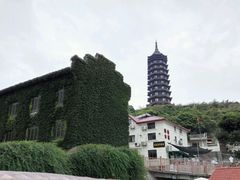 android_upload_pic-普陀山佛顶山索道