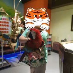 -未来动物城动物主题公园(大悦城店)