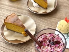 -北马山庄植趣咖啡