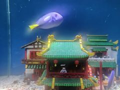 -上海海昌海洋公园