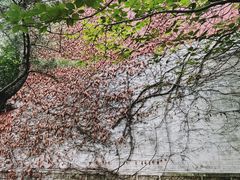 -石岛赤山风景区