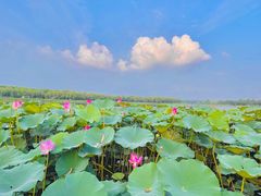 -素心小筑(后沙裕镇店)