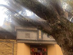 -无锡惠山寺
