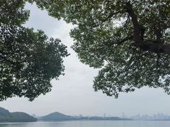 -东湖生态旅游风景区
