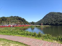 -广州市石门国家森林公园