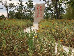 -福如东海文化园
