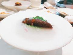 龙脆海参-觀芷隐轩