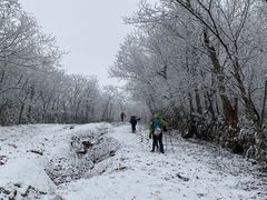 -湖州龙王山景区