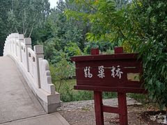 -塘沽森林公园