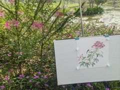 -中国科学院西双版纳热带植物园