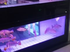 -中环花鸟鱼虫市场