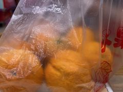 -峨眉汪鸭子·甜皮鸭烟熏鸭(白龙北路店)