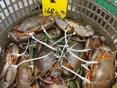 -飞尝蚝·顺德菜·鱼生(顺德总店)