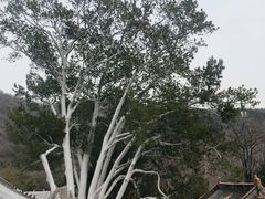 -潭柘寺景区