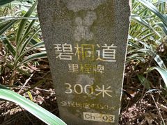 -梧桐山风景名胜区