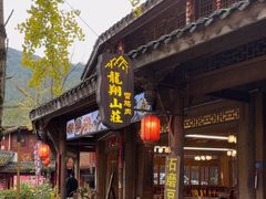 -龙翔山庄雷鸡肉(青城后山泰安古镇店)