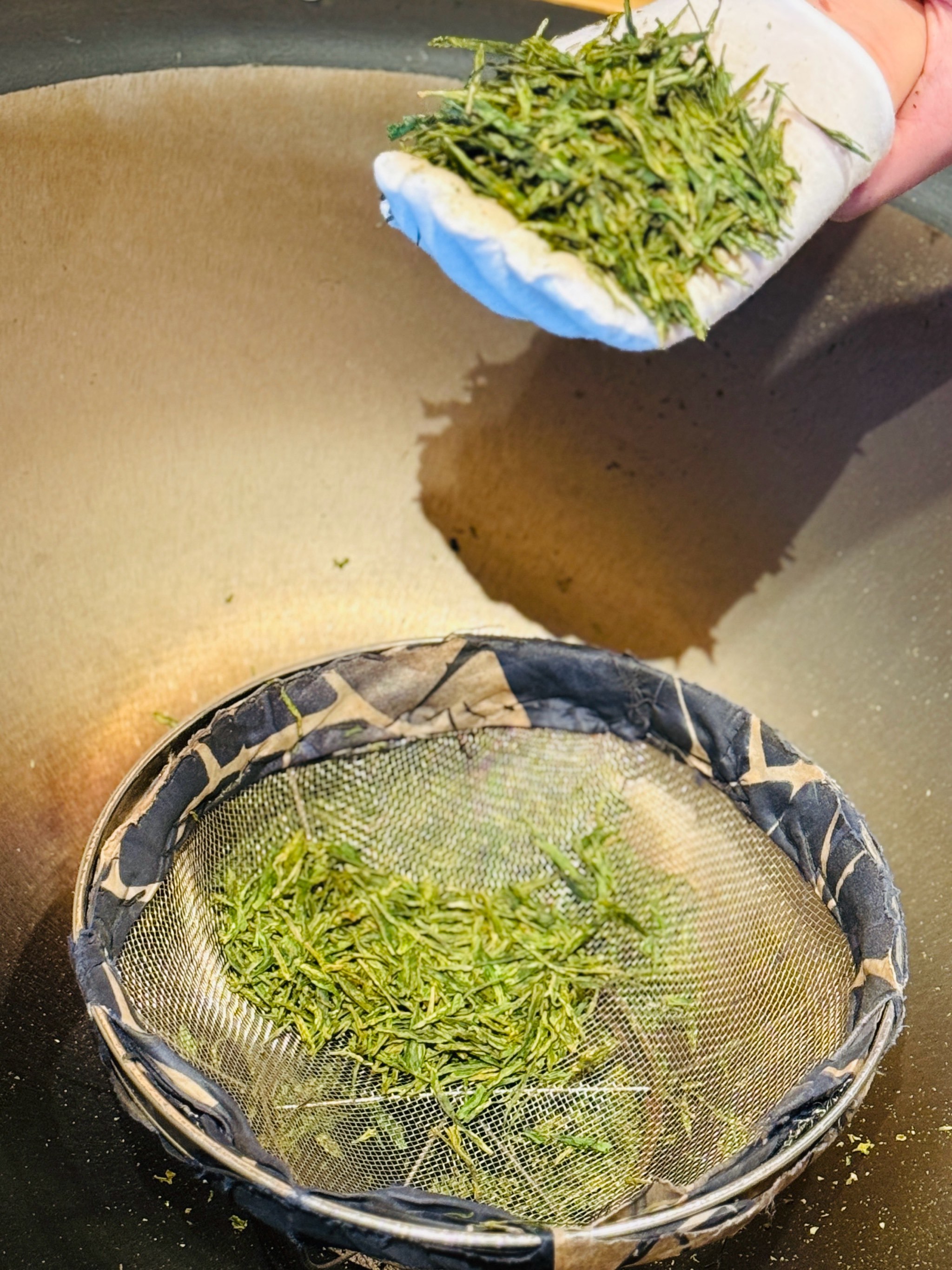 🍃把春天带回家