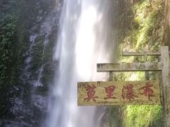 -莫里热带雨林景区