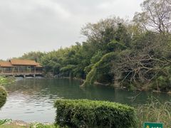 -杭州植物园