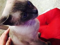 -MIKAKU(万达广场上海宝山店)