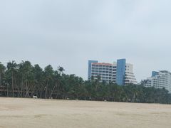 -东郊椰林