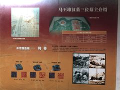 -马王堆汉墓遗址