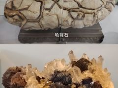 -中国第四纪冰川遗迹陈列馆