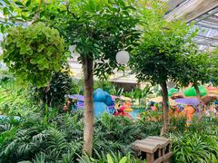 -南宫五洲植物乐园