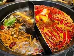 -蜀大侠火锅(总府路店)