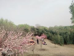-廊坊市自然公园