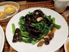 -老广酒楼(樱花店)