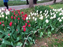 -无锡梅园公园