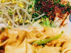 -大嘻咹biangbiang面(历史博物馆店)