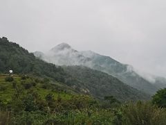 -空中草原