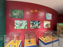 -上海昆虫博物馆