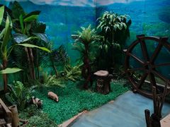 -中国科学院西双版纳热带植物园