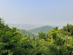 -惠山国家森林公园