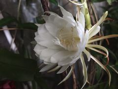 -仙岳公园