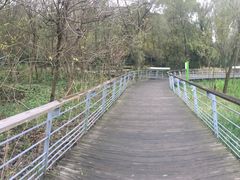 -西湖风景区-江洋畈生态公园