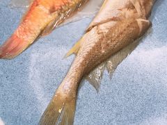 -潮汕味道·煮海餐厅(金麟大厦店)