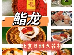 -鮨龍