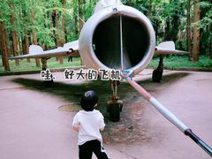 -东平国家森林公园