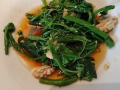 -鸽子侯·家宴·平价海鲜(市图书馆店)